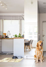 Paws Mustard - Personalisierte Hundematten