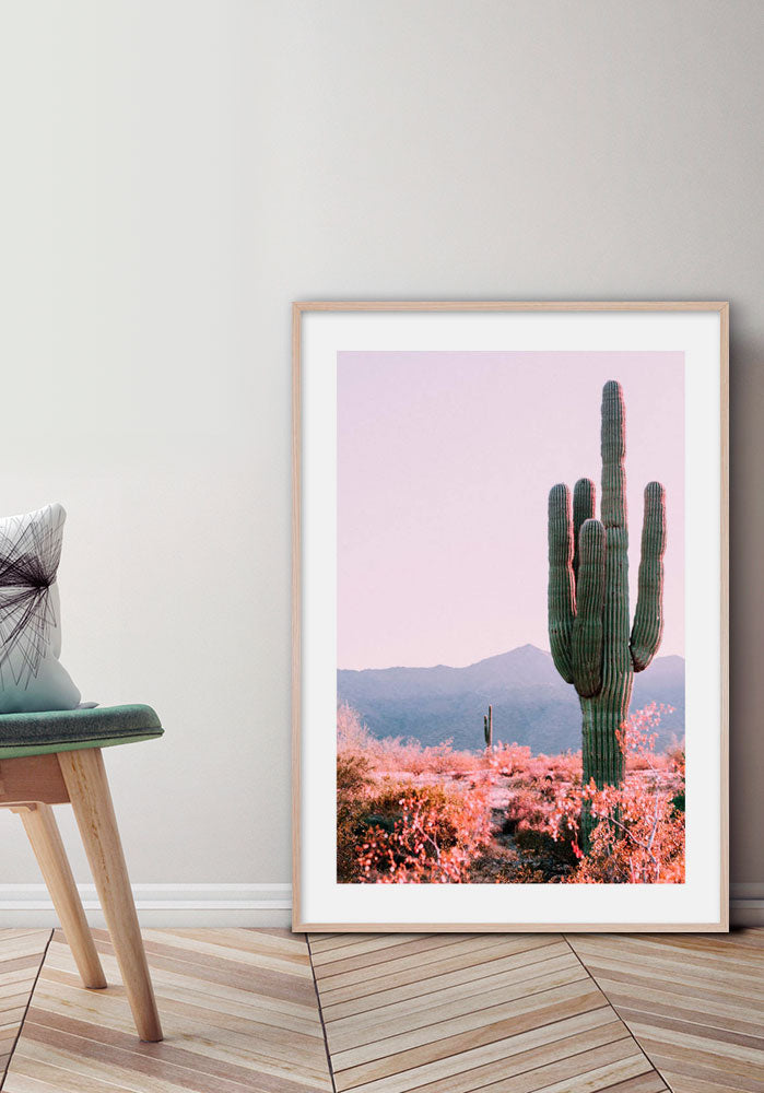 Cactus nel deserto