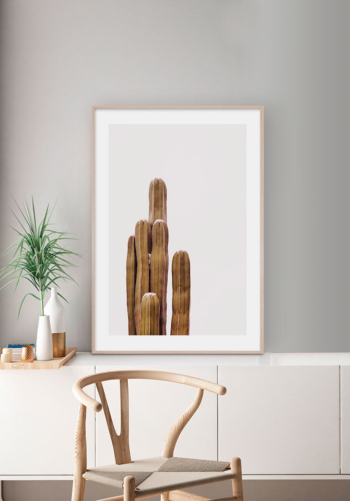 The Boho Cactus