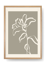 Sammlung Blumenkunst