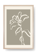 Sammlung Blumenkunst
