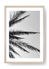 Poster Palmblätter