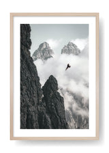 Imperial Eagle Flying In The Mountains