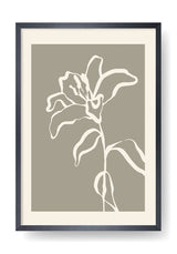 Sammlung Blumenkunst