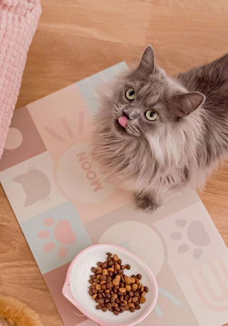 Munch Peach - Personalized cat mats 