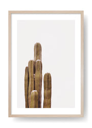 The Boho Cactus Poster