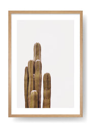 The Boho Cactus Poster