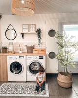 Garlic Gray