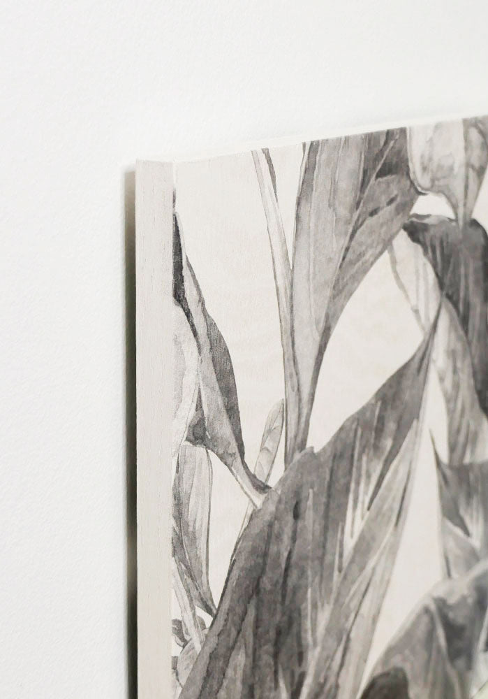 Cabecero Tropical Grey