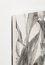 Cabecero Tropical Grey