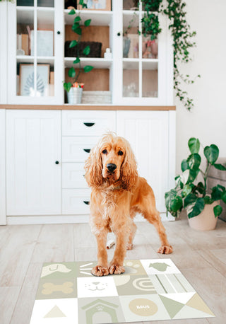 Wow Green - Personalized Dog Mat 