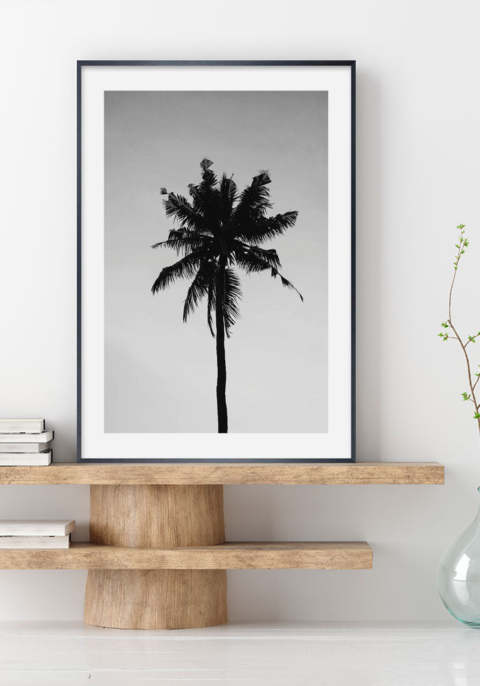 California Palm Tree
