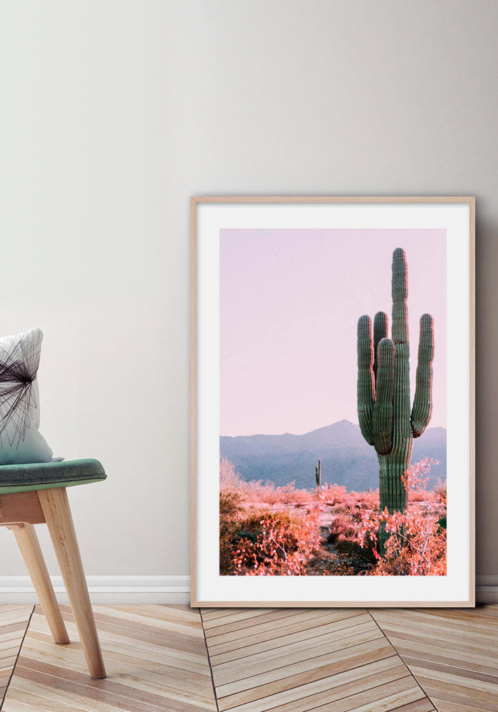 Cactus In Desert