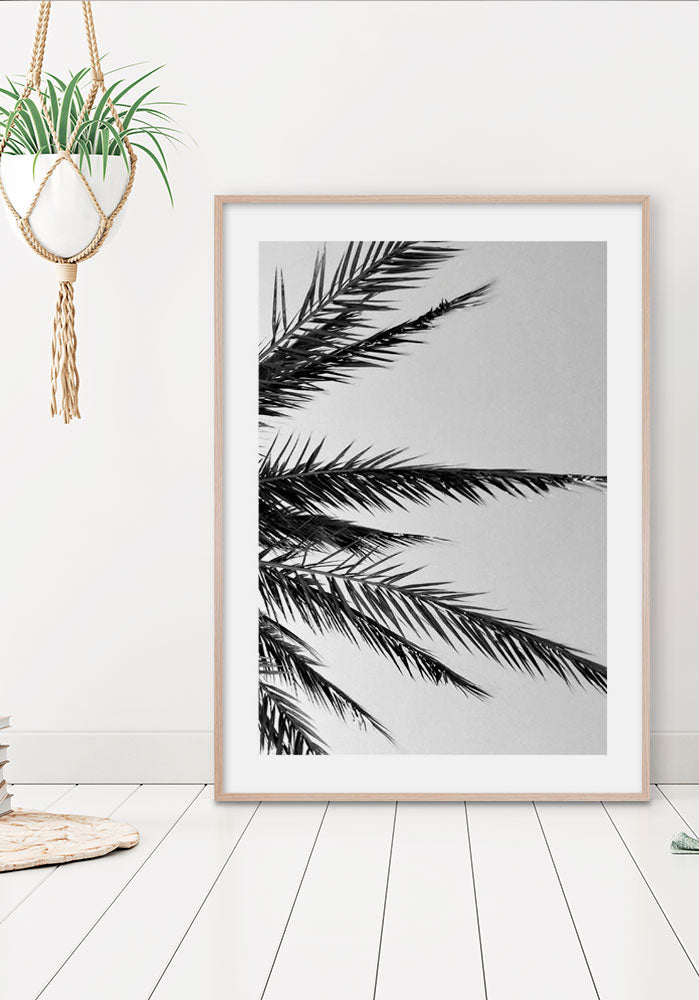 Póster Palm Tree Leaves