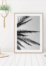 Póster Palm Tree Leaves