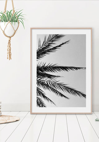 Póster Palm Tree Leaves