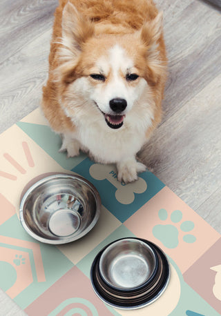 Munch Berry - Personalized Dog Mat 