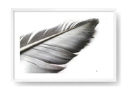 Boho Feather