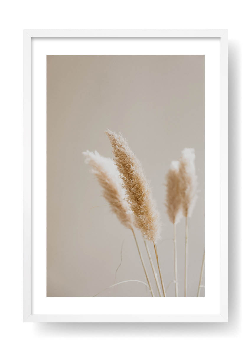 Bohemian Plants Deco