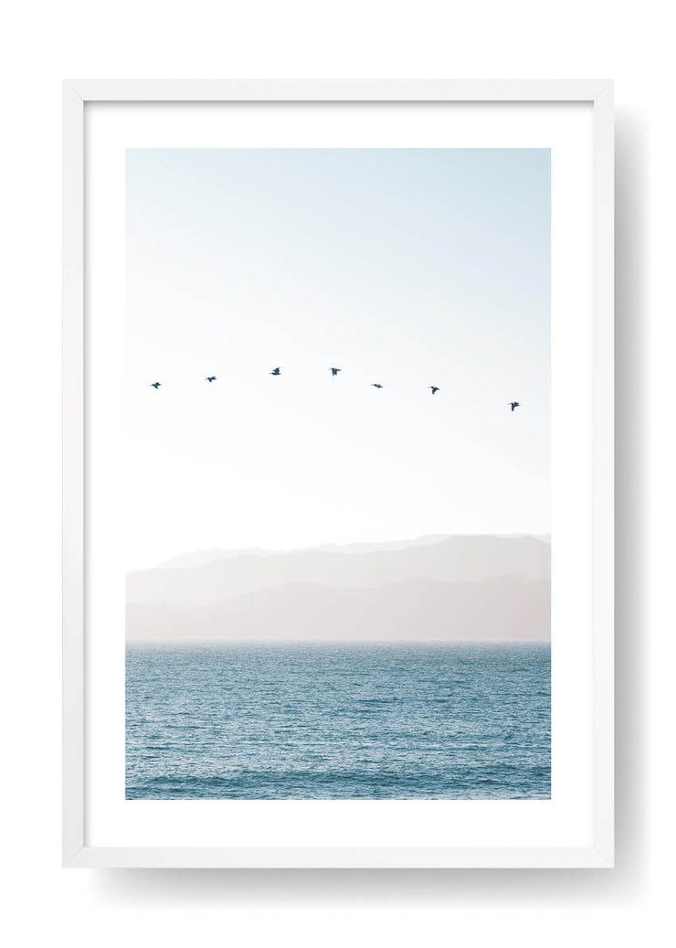 Birds Flying Across The Ocean