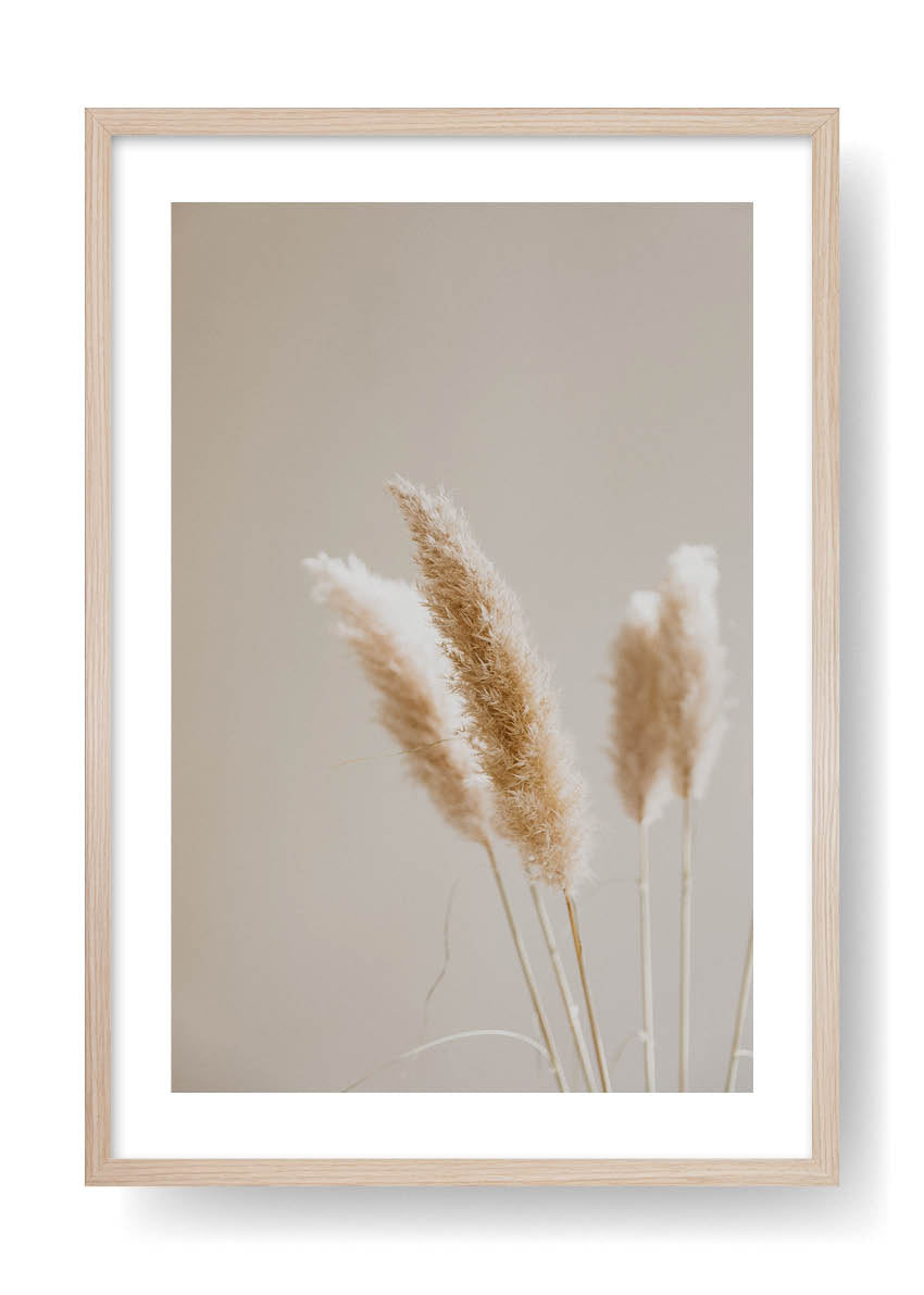 Bohemian Plants Deco