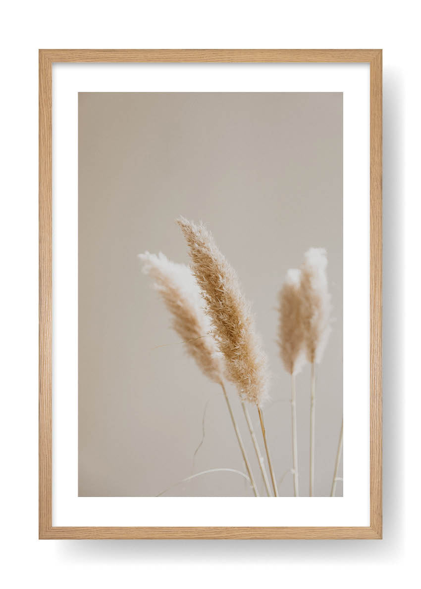 Bohemian Plants Deco