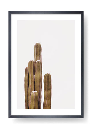 The Boho Cactus Poster