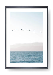 Birds Flying Across The Ocean
