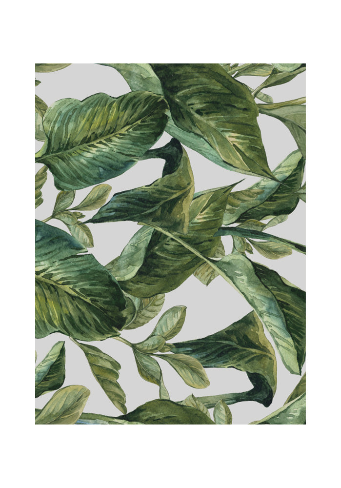 Tropical Green (2 units)